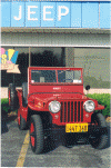 wpe80312.gif (243282 bytes)
